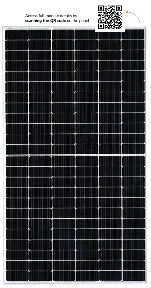 Bifacial – N TOPCon Module